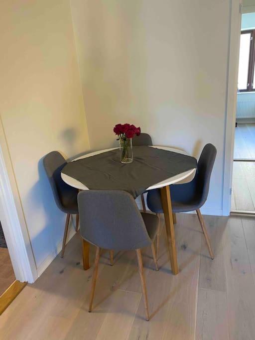 Moderne Leilighet Midt I Sentrum Av Fredrikstad Extérieur photo