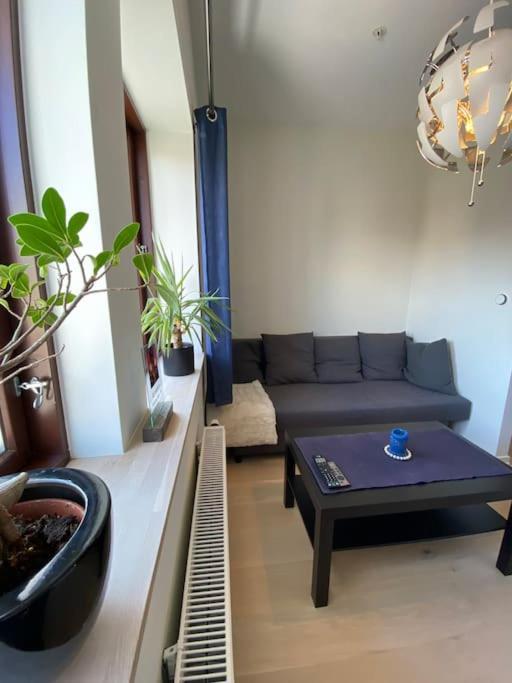 Moderne Leilighet Midt I Sentrum Av Fredrikstad Extérieur photo